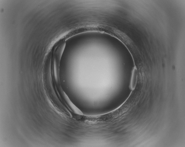 X0000065980728200603061214