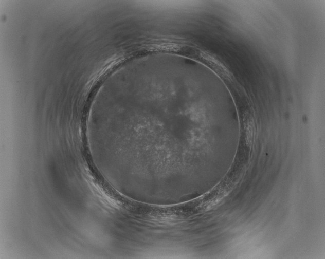 X0000065980729200603061214