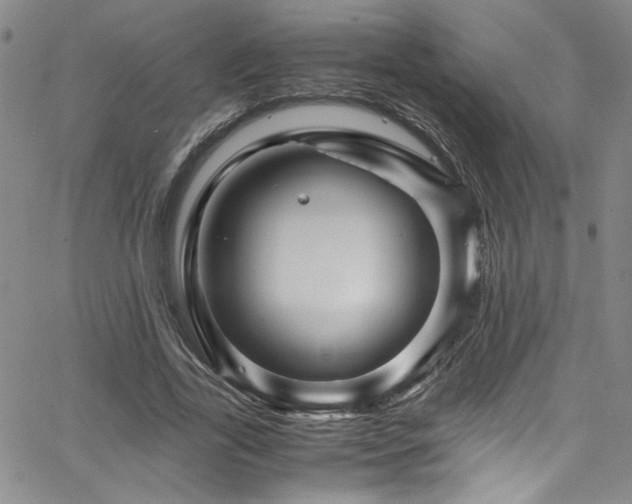 X0000065980731200603061214