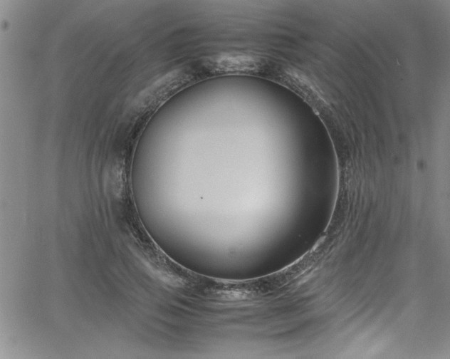 X0000065980741200603061214