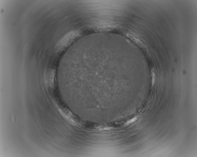 X0000065980742200603061214