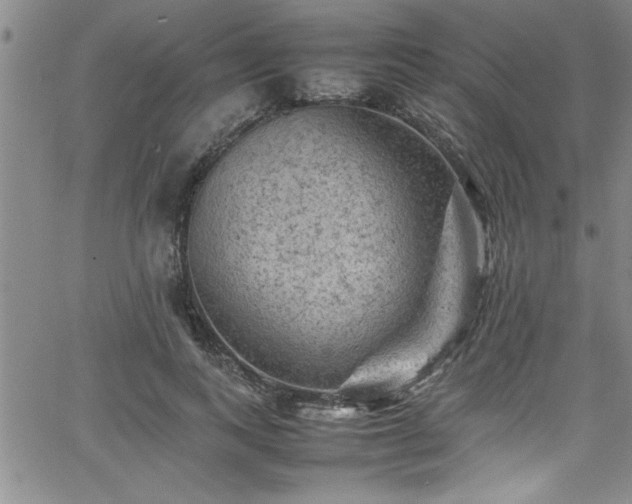 X0000065980743200603061214