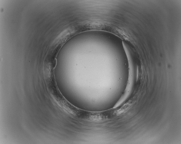 X0000065980744200603061214