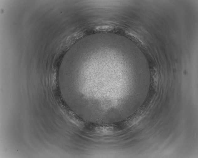 X0000065980745200603061214