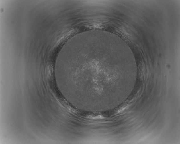 X0000065980747200603061214