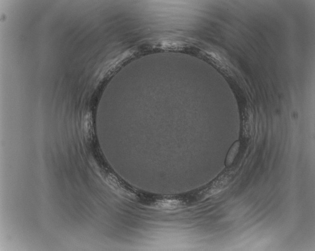 X0000065980748200603061214