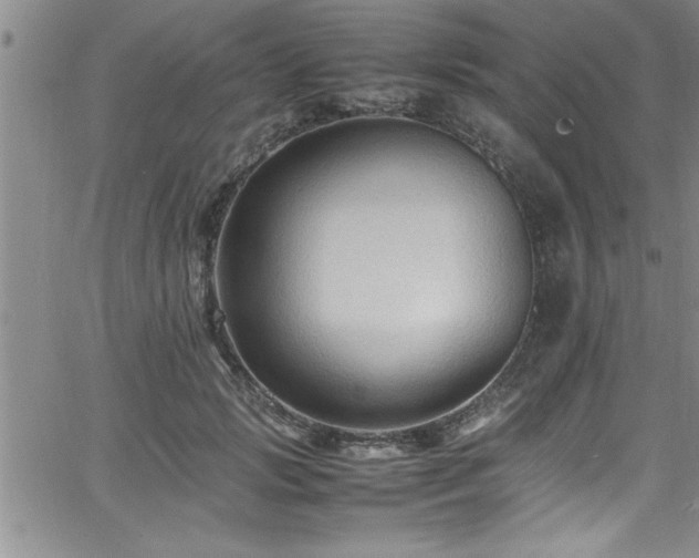 X0000065980749200603061214