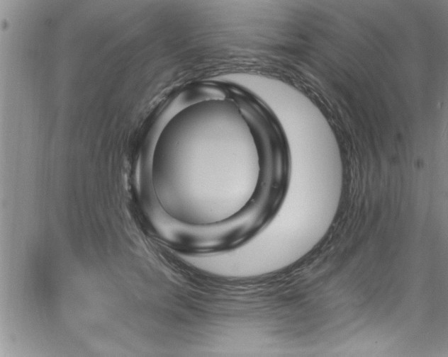 X0000065980750200603061214