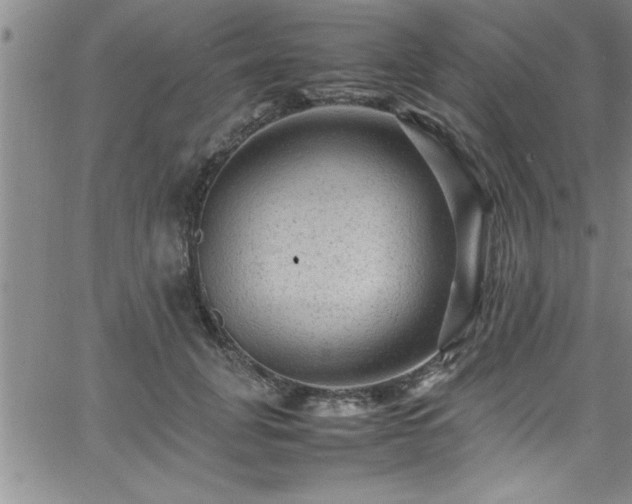 X0000065980751200603061214