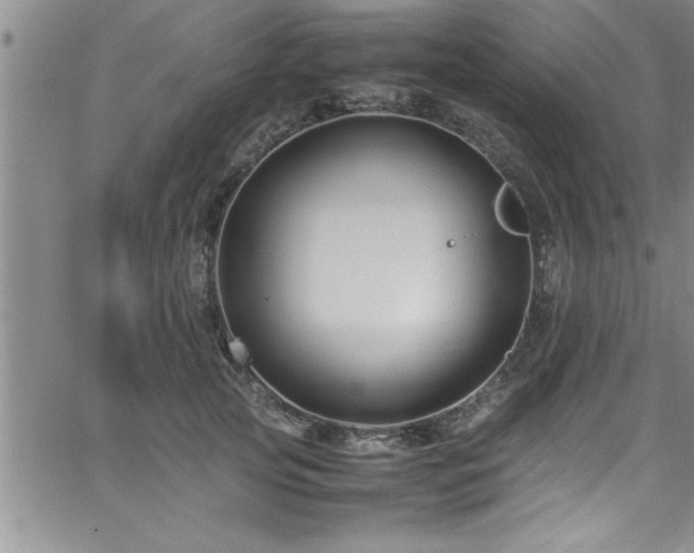 X0000065980753200603061214