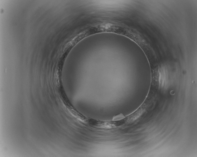 X0000065980754200603061214