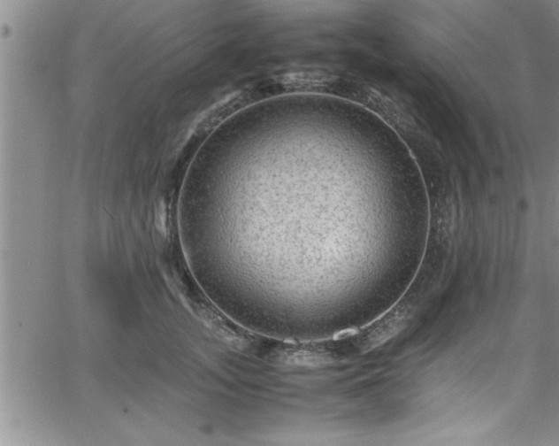 X0000065980755200603061214