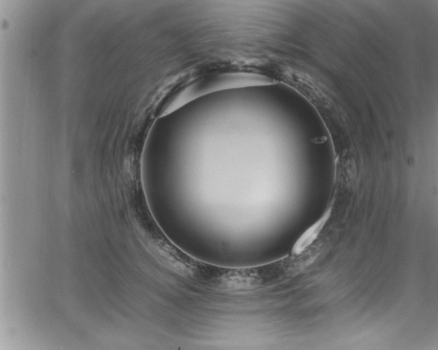 X0000065980756200603061214