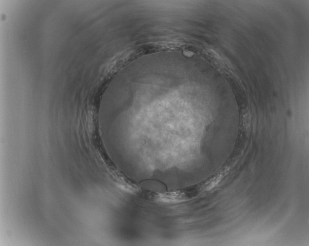 X0000065980757200603061214