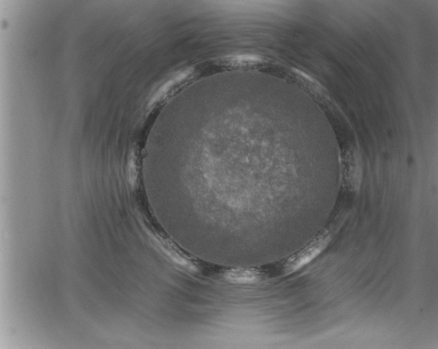 X0000065980762200603061214