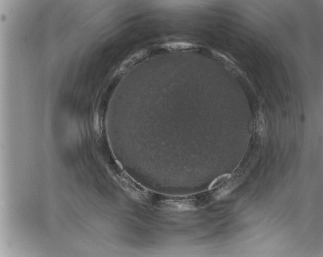 X0000065980763200603061214