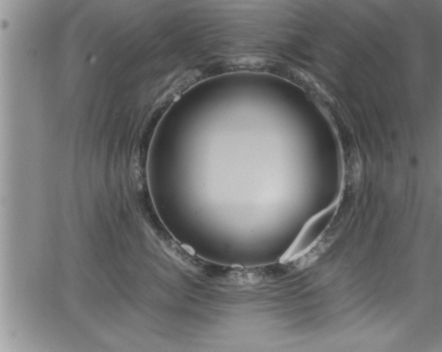 X0000065980764200603061214