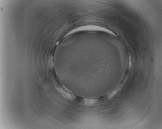 X0000065980766200603061214