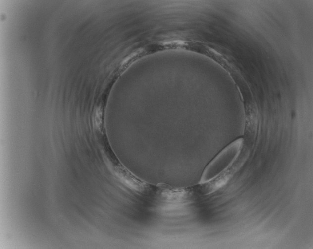 X0000065980767200603061214