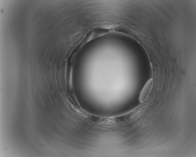 X0000065980768200603061214