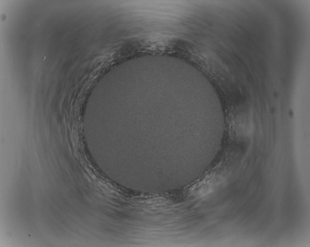 X0000065980769200603061213