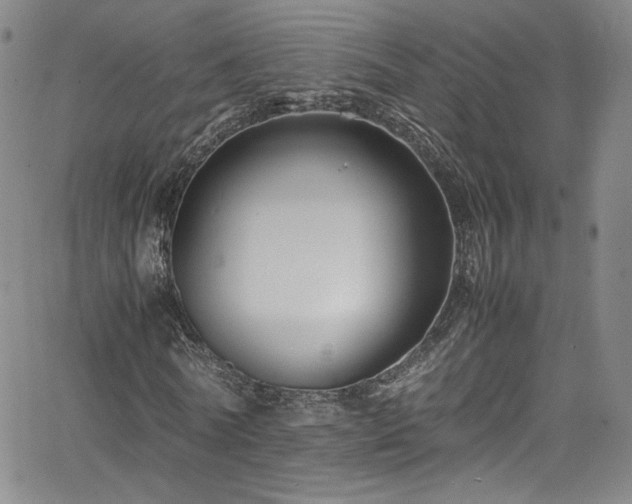 X0000065980770200603061213