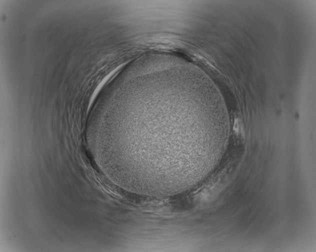 X0000065980771200603061213