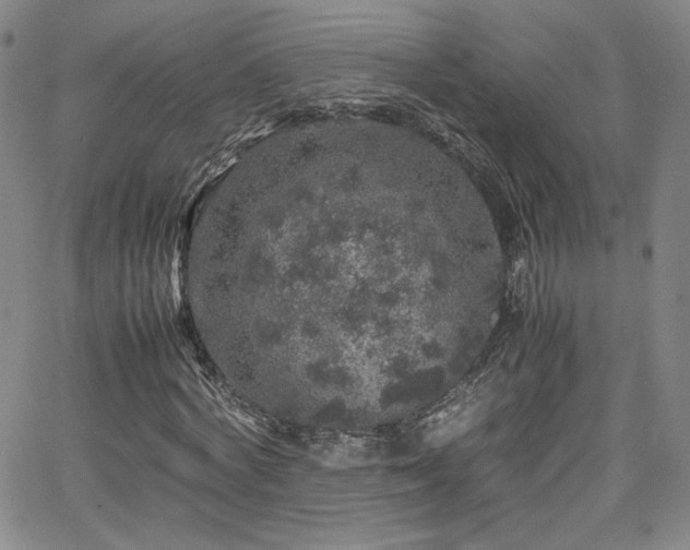 X0000065980772200603061213