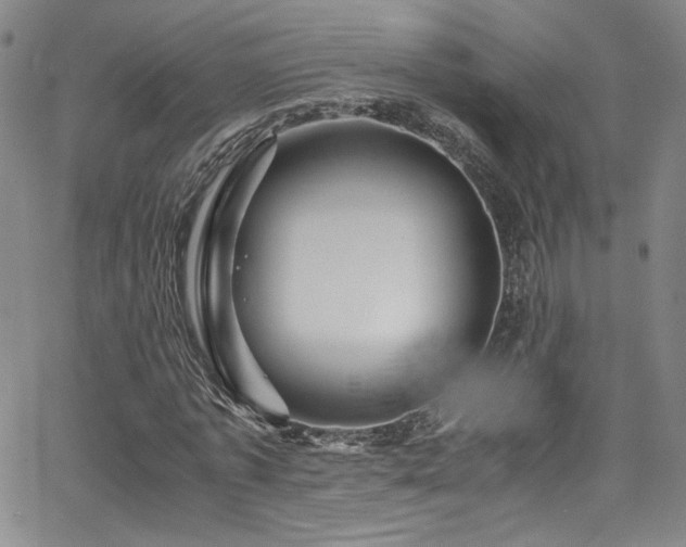 X0000065980773200603061213