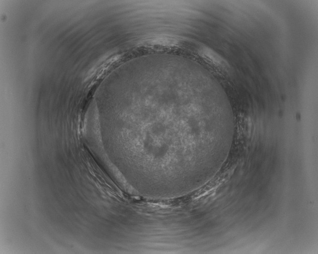 X0000065980774200603061213