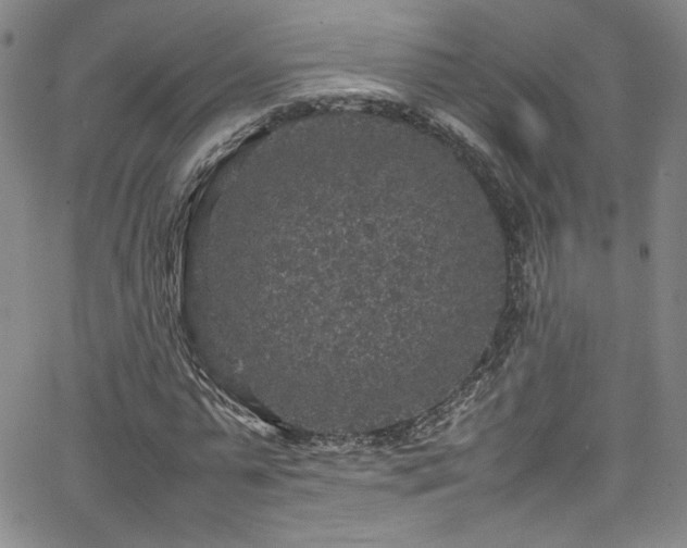 X0000065980775200603061213