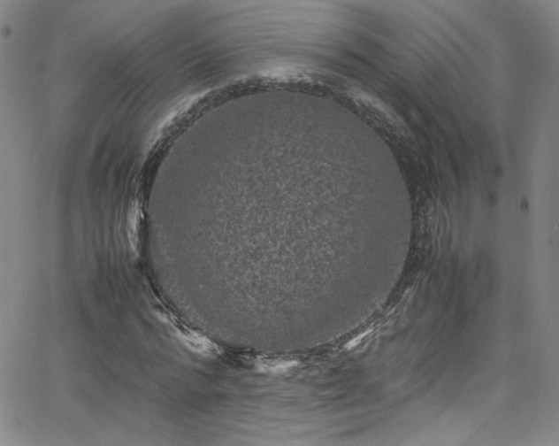 X0000065980776200603061213