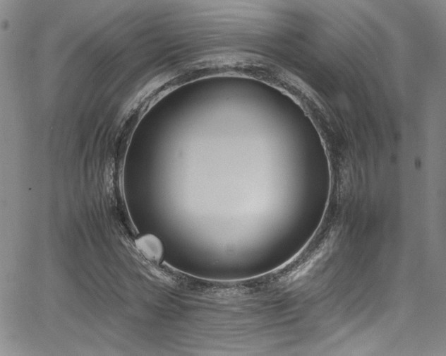 X0000065980778200603061213