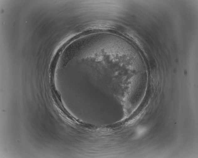 X0000065980779200603061213