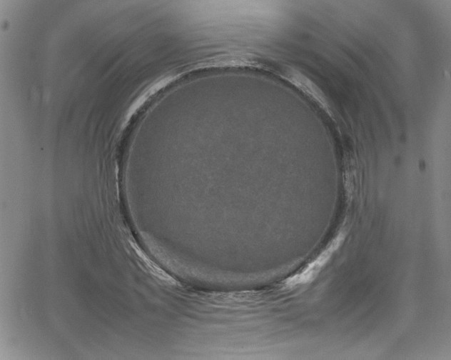 X0000065980781200603061213