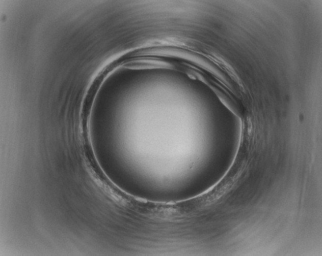 X0000065980784200603061213