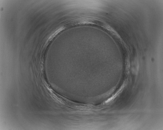 X0000065980785200603061213