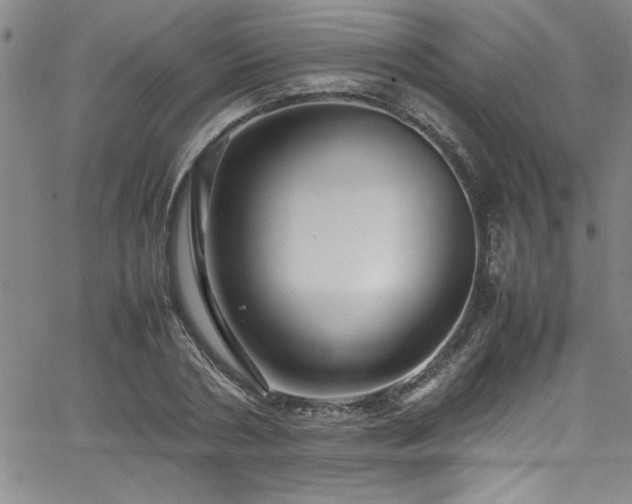 X0000065980786200603061213