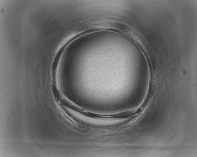 X0000065980787200603061213