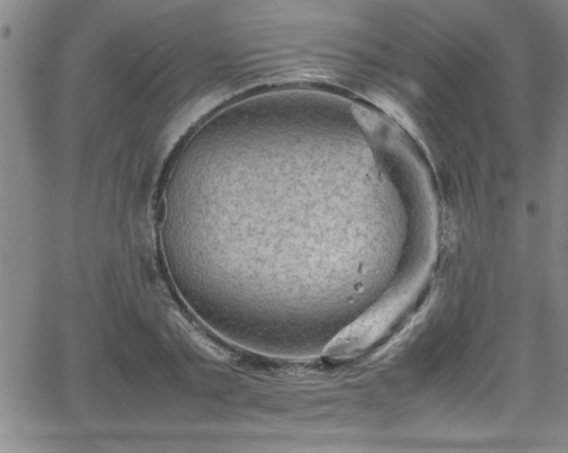 X0000065980789200603061213