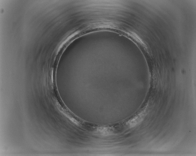 X0000065980790200603061213