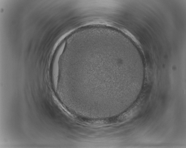 X0000065980791200603061213