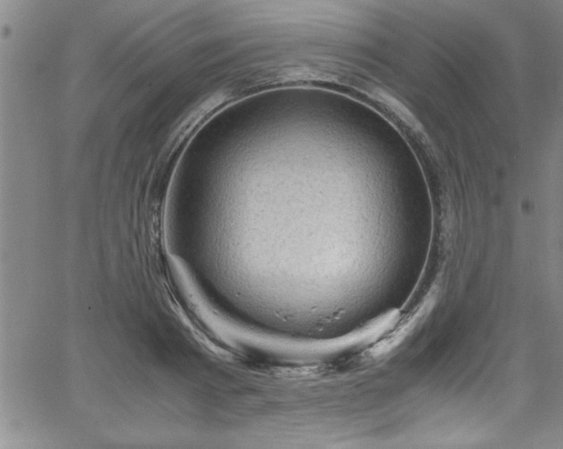 X0000065980793200603061213