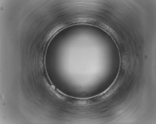 X0000065980794200603061213