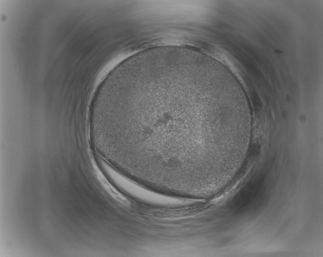 X0000065980795200603061213