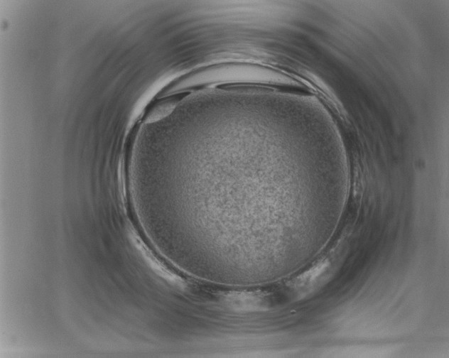 X0000065980796200603061213