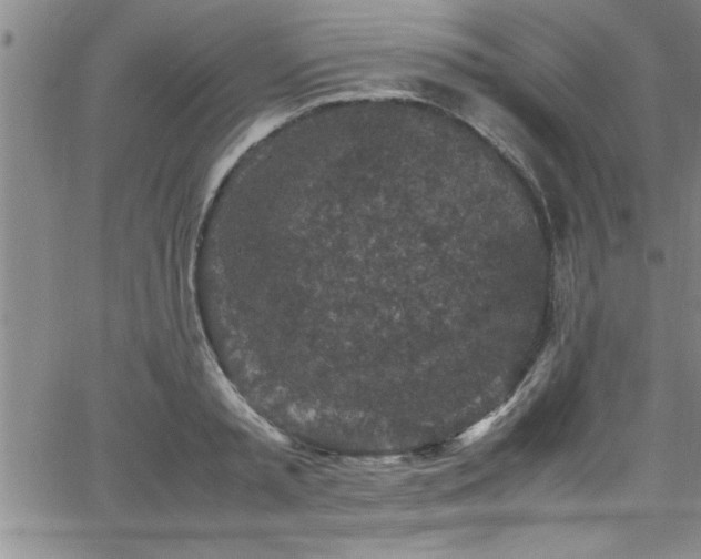 X0000065980797200603061213