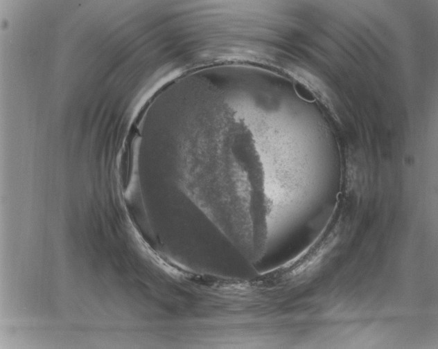 X0000065980798200603061213