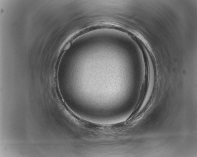 X0000065980799200603061213