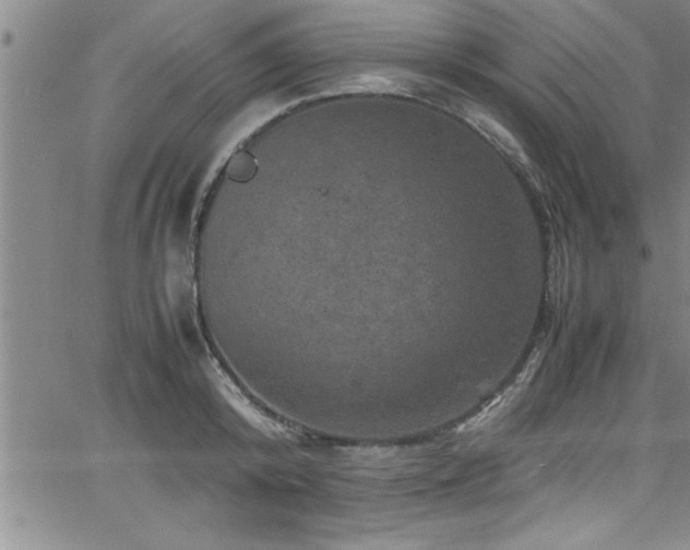 X0000065980800200603061213